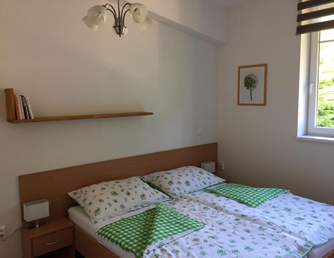 Apartman U Sjezdovky เวลเก คาร์โลวิตเซอ ภายนอก รูปภาพ